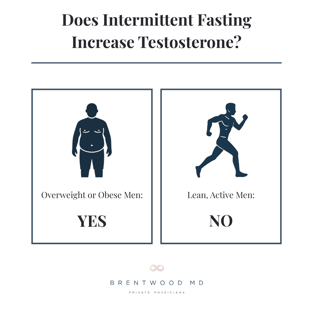 Infographic: Does Fasting Increase Testosterone? The Nuanced Truth About Time-Restricted Eating and Male Hormones