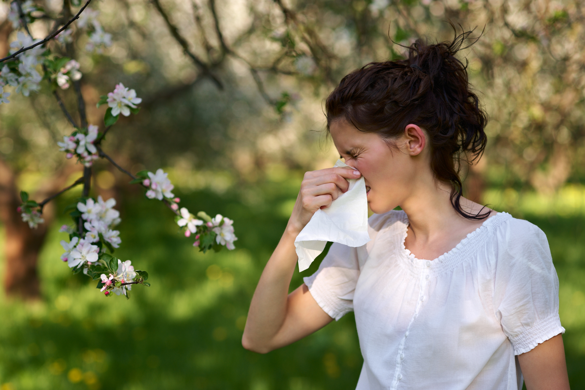 From Hay Fever to Food Allergies: An Expert’s Practical Insights for Better Health